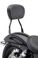 COBRA Round Sissy Bar