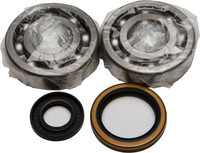 ALL BALLS Crankshaft Bearing &amp; Seal Kit