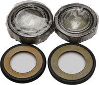ALL BALLS Steering Head Bearing