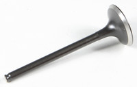 KPMI Exhaust Valve