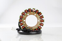 RICK'S MOTORSPORT ELECTRIC Stator