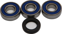 ALL BALLS REAR WHEEL BEARING KIT