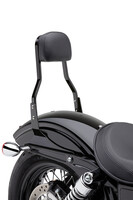 COBRA Square Sissy Bar