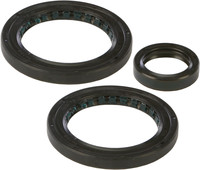 ALL BALLS Differential Seal Kit
