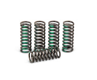 PRO CIRCUIT Clutch Spring Set