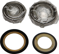 ALL BALLS Steering Head Bearing