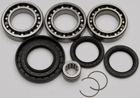 ALL BALLS Differential Bearing & Seal Kit