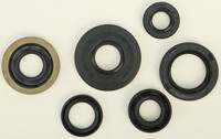 VERTEX Oil Seal Kit