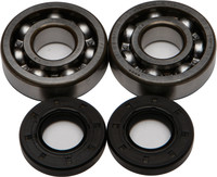 ALL BALLS Crankshaft Bearing & Seal Kit