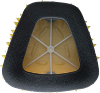 FUNNELWEB Air Filter