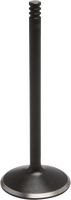 KPMI Black Diamond Intake Valve