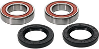 PIVOT WORKS Premium Wheel Bearing Kit