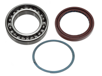 SP1 Track Shaft Bearing/Seal Kit