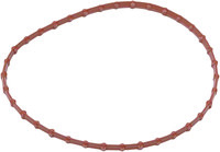 HARDDRIVE Fuel Pump Door Gasket