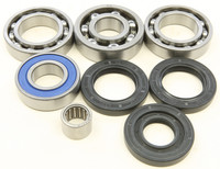ALL BALLS Differential Bearing & Seal Kit