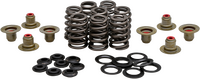 KPMI BEEHIVE VALVE SPRING KIT .550 LIFT  M8`17-24 NON VVT