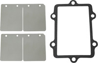 SP1 Reed Valve Rebuild Kit