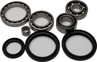 ALL BALLS Differential Bearing & Seal Kit