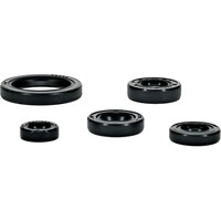 VERTEX Oil Seal Set