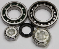 ALL BALLS Differential Bearing & Seal Kit