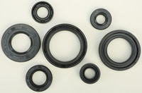 VERTEX Oil Seal Kit