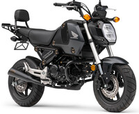 COBRA Slip on w/Scallop Tip