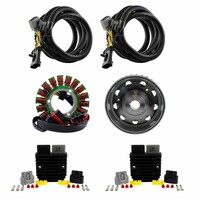 RM STATOR Stator+Regulator+Flywheel