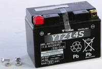High Performance AGM Maintenance-Free Battery