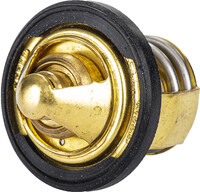 Replacement Thermostat - Polaris