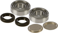 ALL BALLS Swingarm Bearing Kit