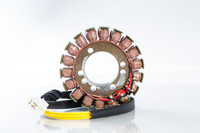 RICK&#x27;S MOTORSPORT ELECTRIC Stator