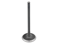 BRONCO Intake Valve