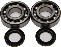 ALL BALLS Crankshaft Bearing &amp; Seal Kit