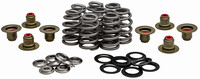 KPMI Valve Spring Kit