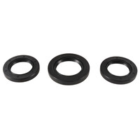 ALL BALLS Differential Seal Kit