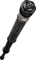 FOX Dual Adjustable Cartridge Kits