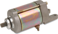 RICKS Starter Motor
