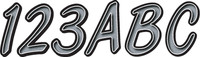 (SILVER/BLACK)