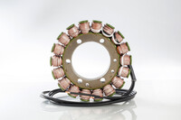RICK'S MOTORSPORT ELECTRIC Stator