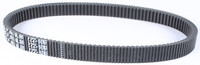 SP1 Max-Torque Platinum Belt