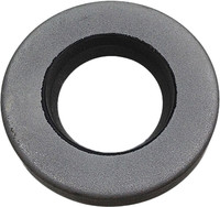 SP1 Chaincase Oil Seal