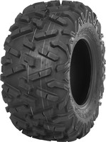 Maxxis Bighorn 2.0 Tires