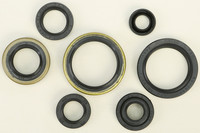 VERTEX Oil Seal Kit