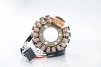 RICK&#x27;S MOTORSPORT ELECTRIC Stator