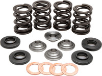KPMI Racing Valve Spring Kit