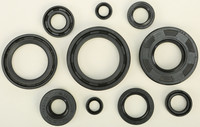 VERTEX Oil Seal Kit