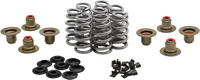 KPMI BEEHIVE VALVE SPRING KIT .640 LIFT  M8`17-24 NON VVT