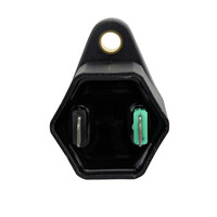 RM STATOR External Ignition Coils