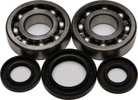 ALL BALLS Crankshaft Bearing & Seal Kit