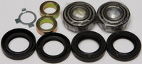 ALL BALLS Swingarm Bearing Kit